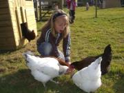 Superb Old Farmhouse near the Beach with Large Hot Tub , Free Access to an Indoor Pool, Free Animal Feeding ,Free Pony Rides and Free Tractor Rides Superb Old Farmhouse near the Beach with Large Hot Tub , Free Access to an Indoor Pool, Free Animal Feeding ,Free Pony Rides and Free Tractor Rides
