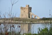 Top Porto Cesareo