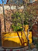 Top Lăpuşnicu Mare