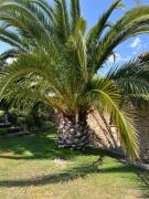 Top Caldes de Malavella