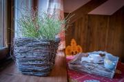 Top Zakopane