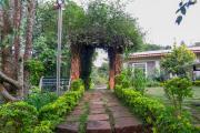 Top Coonoor