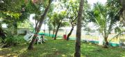 Top Cochin
