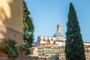 Top Siena