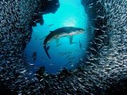 Top Quartu SantʼElena