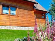 Top Kamesznica Top Kamesznica