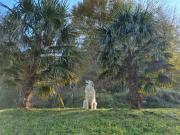 Top Lourdios-Ichère Top Lourdios-Ichère