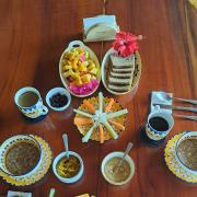 Terra NaturaMa - off grid living in the jungle