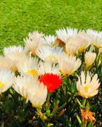 Top Roquebrune-sur Argens