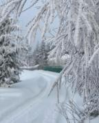 Top Bogdanówka Top Bogdanówka