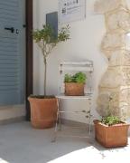 Top Vico del Gargano Top Vico del Gargano