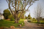 Top Somerset West