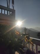 Top Darjeeling
