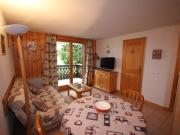 Charmant appart 3 pièces, bien équipé, 4-5 pers, parking, Les Saisies - FR-1-293-208