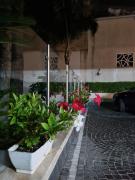 Top Marigliano