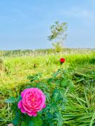 Top Buôn Bubơ Ðak Nông