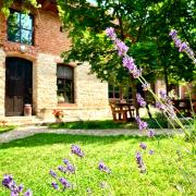 Casa cu piscina Cheile Nerei