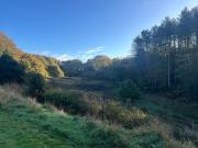 Top Newcastle under Lyme