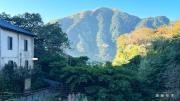 Top Ruifang