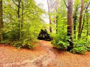 Boshuisje Viva lArdenne - Chalet 122