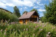 Chalet Le Pin à 2 pas de GERARDMER, dans la vallée des lacs
