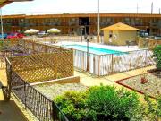 Top Springdale