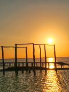 Top El Cuyo Top El Cuyo