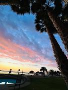 Top Algarrobo Top Algarrobo