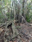 Atacuari Salvaje Tours Amazonas