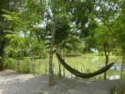 Top Krabi