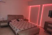 Top Bizerta
