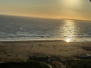 Les échappées belles de lOcéan