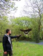 Top Bowness-on-Windermere