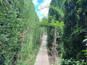 Petite maison cosy au fond du jardin