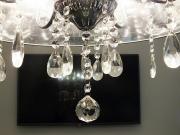 Top Bologna Top Bologna