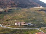 Agriturismo B&B Casa Bortolin