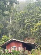 Top Samoeng