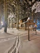 Karinna Orman Evleri