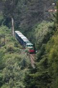 Top Ooty