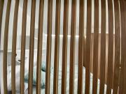 Top Las Palmas de Gran Canaria