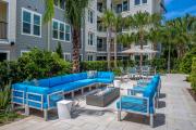 Top Tampa