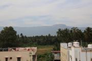 Top Alāndurai