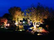 Top Dorchester Top Dorchester