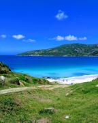 Cactos residencial hostel