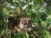 Top Necoclí Top Necoclí