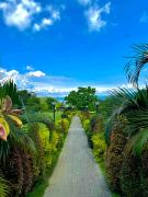 The Vineyard at Tanauan