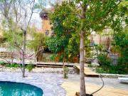 Top Paihuano Top Paihuano