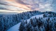 Top Snowshoe