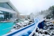 Top Snowshoe