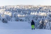 Top Snowshoe
